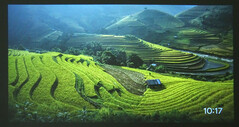 Le TCL C1 affiche des photos de paysages en mode économiseur d'écran. (Source de l'image : Notebookcheck)