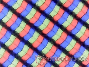 Les sous-pixels sont nets pour un panneau mat, sans problème majeur de granularité