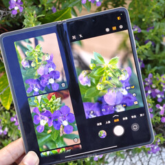 Toutes les options de couleur du Magic V5, sauf une, mesurent 9 mm d'épaisseur lorsqu'elles sont fermées et pèsent officiellement 222 g. (Source d'image : Fenibook)