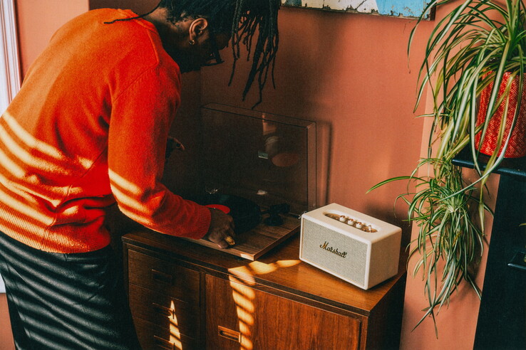 Les platines vinyles peuvent être connectées via un port RCA