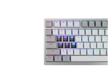 Il est également doté d'un éclairage RVB orienté vers le nord. (Source de l'image : Asus)