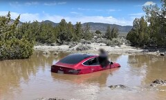 La FSD de Tesla a conduit cette Model 3 particulière dans une tombe aquatique. (Source de l'image : Wham Baam Teslacam sur YouTube)