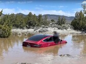 La FSD de Tesla a conduit cette Model 3 particulière dans une tombe aquatique. (Source de l'image : Wham Baam Teslacam sur YouTube)