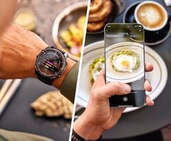 Lors des premiers tests, Garmin Connect n'a pas toujours reconnu les aliments de manière fiable. (Source de l'image : Garmin)