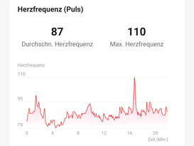 Mesure de la fréquence cardiaque de la Honor Watch GS 3