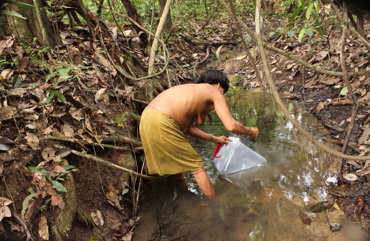 Femme allant chercher de l'eau dans une rivière (image : Yanomami Foundation)