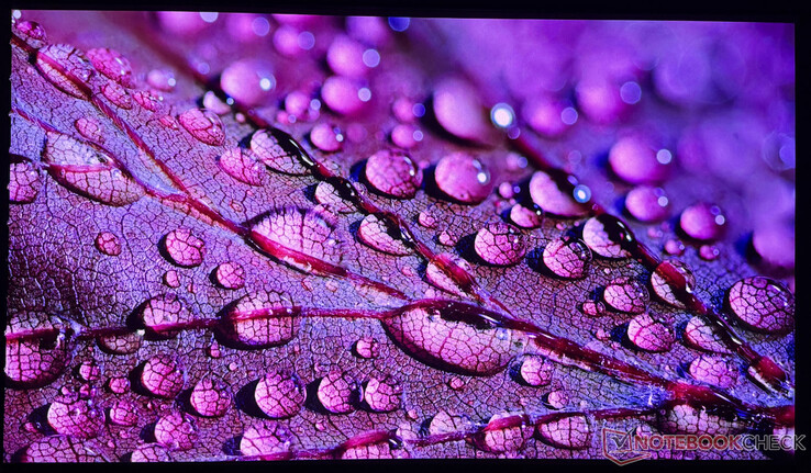 L'iPhone 16 Pro utilisé ne peut capturer la qualité d'image de l'Aetherion Max que de manière limitée.