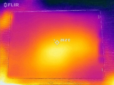 Carte thermique du dos