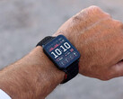La dernière mise à jour bêta du Venu X1 lui apporte plusieurs nouvelles fonctionnalités. (Source de l'image : Garmin)