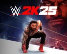 Bannière de WWE 2K25 (Source de l'image : Sony PlayStation, Take-Two Interactive avec modifications)