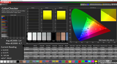 ThinkPad T490s - CalMAN ColorChecker (espace colorimétrique cible : sRVB).