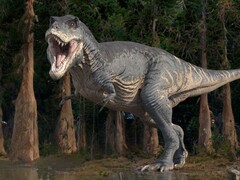 La vie sur Terre aurait été très différente si les dinosaures n'avaient pas disparu. (Source de l'image : ROGER HARRIS/SCIENCE PHOTO LIBRARY)