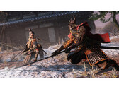 Une capture d'écran de Sekiro : Shadows Die Twice qui montre les combats du jeu. (Source de l'image : Steam)
