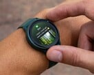 Après une récente mise à jour de l'application, certains utilisateurs de la smartwatch Garmin ne recevaient plus de vibrations pour les notifications. (Source : Garmin)