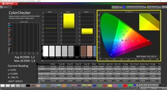 CalMAN ColorChecker calibré (espace colorimétrique cible P3)