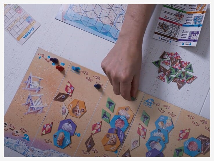 Jeu de société Sanibel avec pièces et cartes. (Source : Avalon Hill via Youtube)