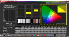 CalMAN ColorChecker (profil : sRGB, espace couleur cible : sRGB)