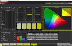Saturation CalMAN (sRGB)