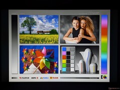 Angles de vision IPS étendus