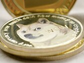 Le dogecoin est désormais accepté par Tesla. (Image source : Unsplash)