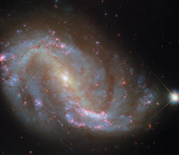 L'image Hubble de NGC 7496 (Source de l'image : ESA/Hubble, NASA, R. Chandar, J. Lee, et l'équipe PHANGS-HST)