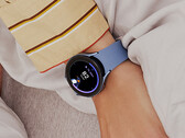 On ne sait pas si la montre One UI 5 reste basée sur Wear OS 3.5. (Source de l'image : Samsung)