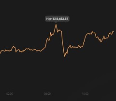 Le pic de Bitcoin aujourd'hui est de 18 453,87 dollars US (Source : Coin Stats)