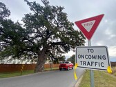 Le chêne Jolene sur Old Stagecoach Road à Kyle au Texas (Source de l'image : Maya Fawa/KUT News)