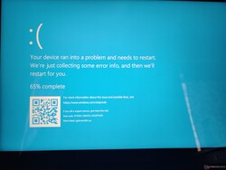 Les pilotes Xe Max provoquent souvent un BSOD lors de l'utilisation de certains jeux