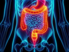 La ventilation entérale a été testée avec succès chez l'homme pour la première fois. (Source de l'image : David_SMC via Pixabay)