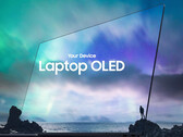 les écrans OLED 240 Hz pour ordinateurs portables sont désormais possibles (image : Samsung)