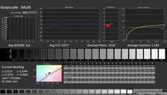 CalMAN : Niveaux de gris (calibrés)