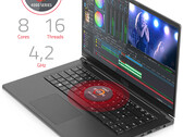 Le Tuxedo Pulse 15 est livré avec un choix de deux ordinateurs portables Renoir 45 W. (Source de l'image : Tuxedo Computers)