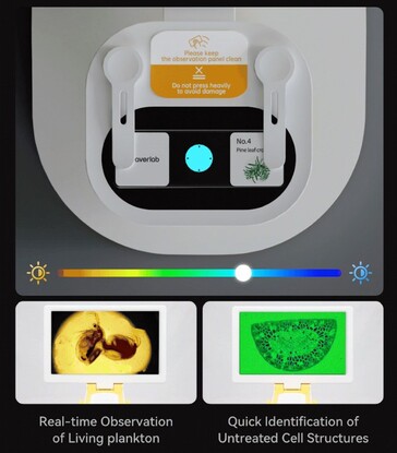 Le Darwin MX Pro est doté d'un système de coloration lumineuse RVB des spécimens permettant de voir facilement les structures internes. (Source de l'image : BeaverLab sur Kickstarter)