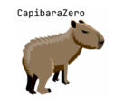 Présentation de CapibaraZero (Source d'image : CapibaraZero)
