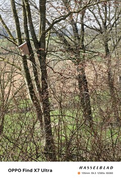 Photo prise avec le téléobjectif (zoom optique 6x)