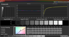 Niveaux de gris Calman calibrés