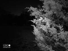 La caméra de vision nocturne peut capturer des images claires de sujets situés à moins de 5 mètres dans l'obscurité totale.