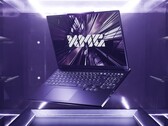 Plus d'options d'entrée de gamme pour les joueurs soucieux de leur budget. (Source de l'image : XMG)