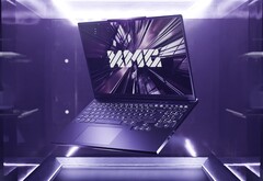 Plus d&#039;options d&#039;entrée de gamme pour les joueurs soucieux de leur budget. (Source de l&#039;image : XMG)