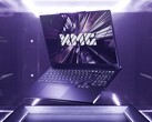 Plus d'options d'entrée de gamme pour les joueurs soucieux de leur budget. (Source de l'image : XMG)