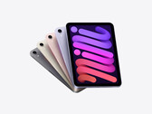 L'iPad Mini peut encore survivre. (Source : Apple)