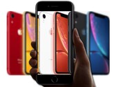Il semble que l'iPhone SE de nouvelle génération pourrait être basé sur l'iPhone XR Apple. (Image source Apple - éditée)