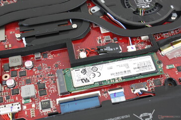 Le système supporte jusqu'à deux SSD M.2 en configuration RAID 0