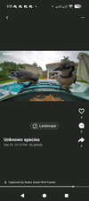Réseau social pour oiseaux intégré