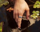 Samsung développe actuellement une nouvelle alternative à l'Oura Ring 5.