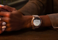 Les récentes smartwatches &quot;Pro&quot; de Garmin peuvent à nouveau recevoir des mises à jour bêta. (Source de l&#039;image : Garmin)