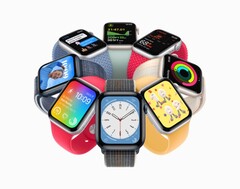Apple Lancement de la smartwatch Watch SE le 7 septembre (Source : Apple)
