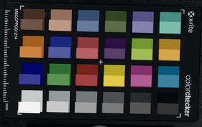 Apple iPad Pro 11 - ColorChecker : la couleur de référence se situe dans la partie inférieure de chaque bloc.