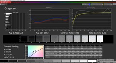 CalMan ColorChecker - Échelles de gris